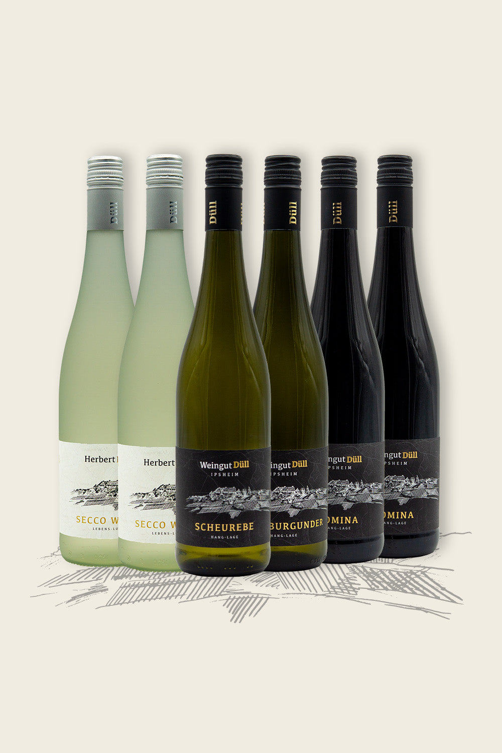 Weinpaket Feuer & Freunde| 6er Paket