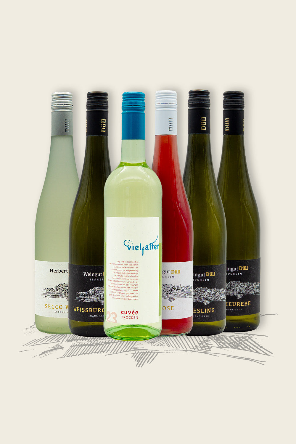 Sommerweinpaket | 6er Paket